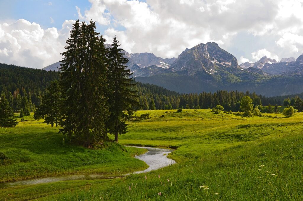 montenegro, nature, travel-6786187.jpg
