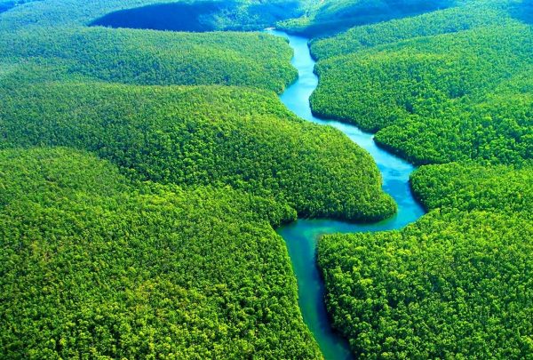 amazonia_capa